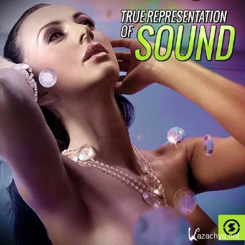 True Representation of Sound (2015)