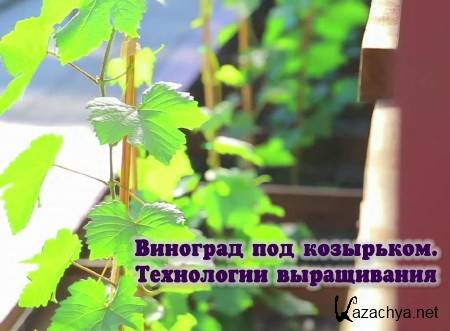 �������� ��� ���������. ���������� ����������� (2015)