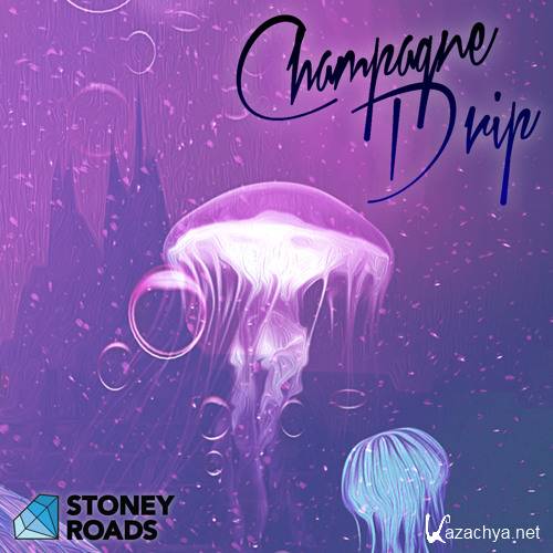 Champagne Drip - The Exotic Sounds (2015)