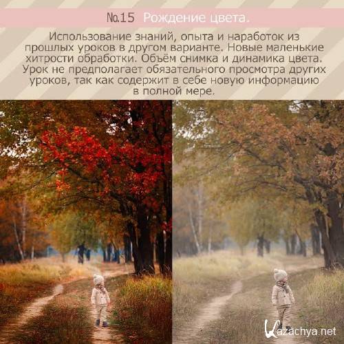 ���� �15. �������� �����