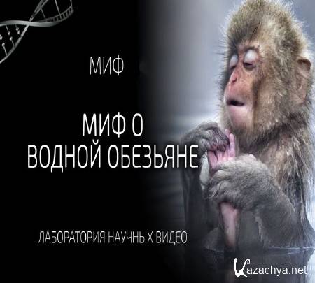    .     (2015) WEB-DL 1080p