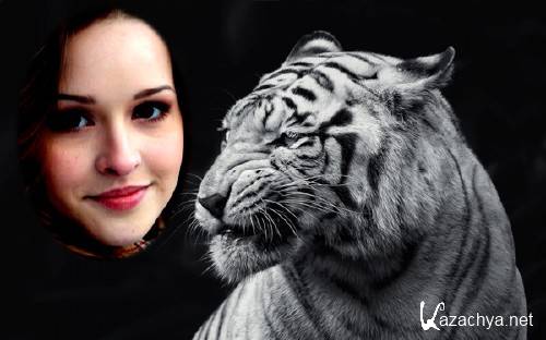  Рамка к фото - Грозный белый тигр 