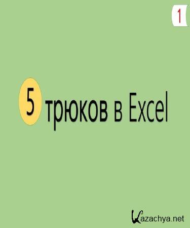 5    Excel (2015)