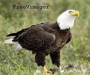 FreeVimager 5.0.3 Stable Portable