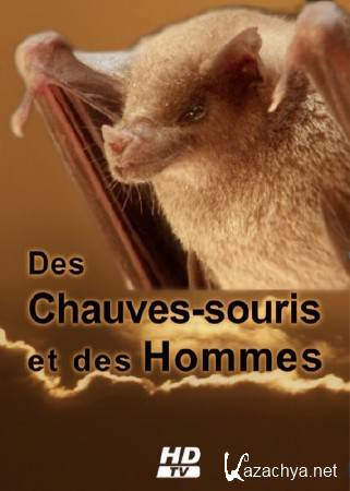     / Des Chauves-souris et des Hommes (2009) HDTVRip (720p)