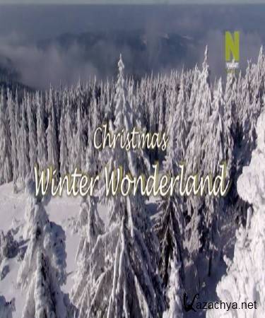    / A Christmas Winter Wonderland (2014) DVB