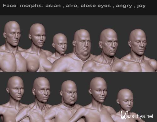 Human ZBuilder for ZBRUSH