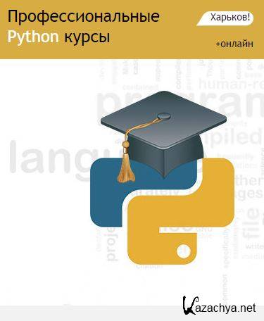  Python  online