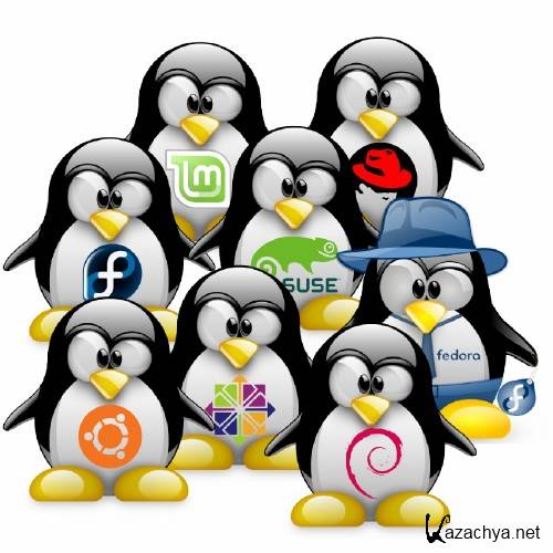   Linux 1-2