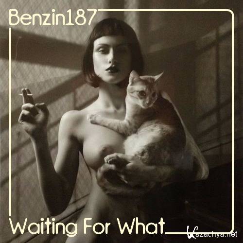 Benzin187 - Waiting For What Mixtape (2016)