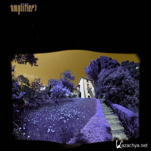 Amplifiere -  (2004 - 2014)  