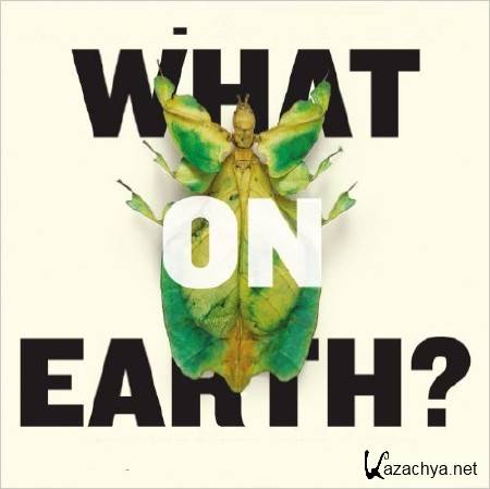   .    / What on Earth? (2015) HDTVRip (720p)