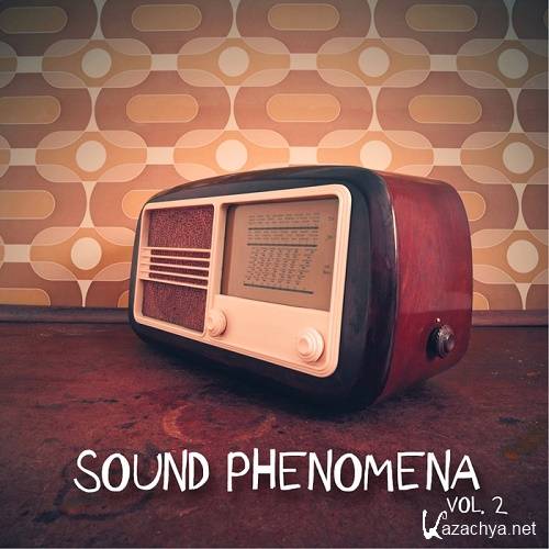Sound Phenomena, Vol. 2 (2016)