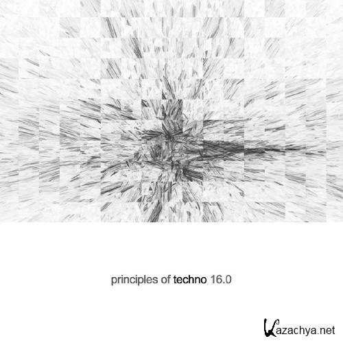 Principles of Techno, Vol. 16 (2016)