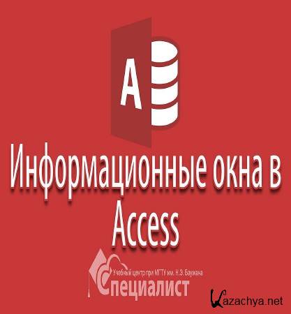    Access (     ) (2016)