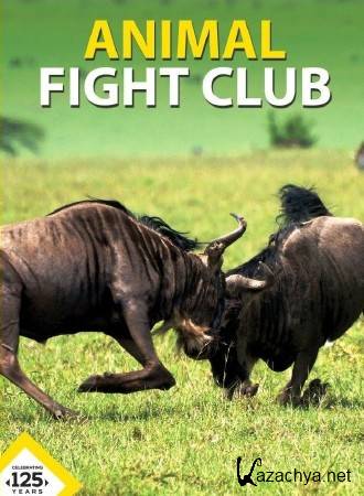    .   / Animal Fight Club (2015) HDTVRip