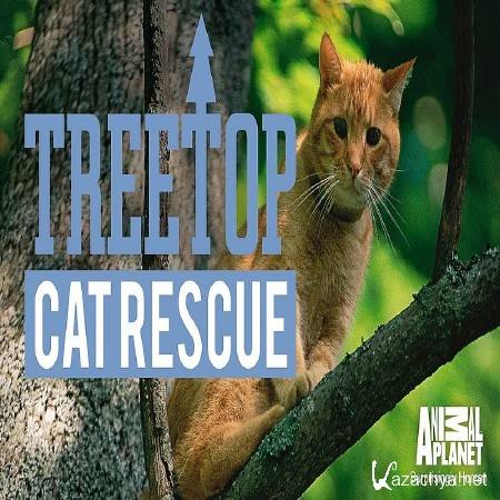     / Treetop Cat Rescue (2015) TVRip