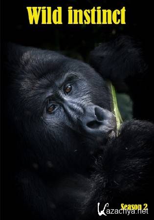  ���������� ��������. ������: ������� � ������ / British Columbia. Facing Grizzlies (2015) SATRip