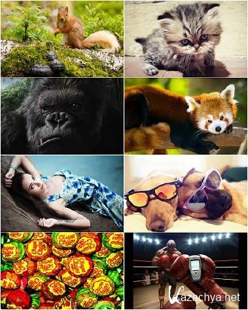 Mix HD wallpaper - Different Topics (#632) Mix HD wallpaper - Different Topics (#632)