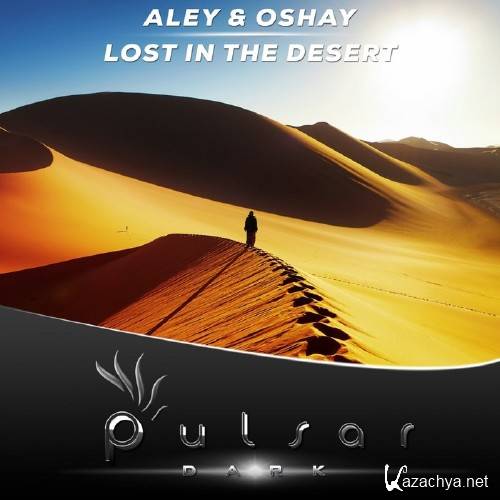 Aley & Oshay - Lost In The Desert (2016)