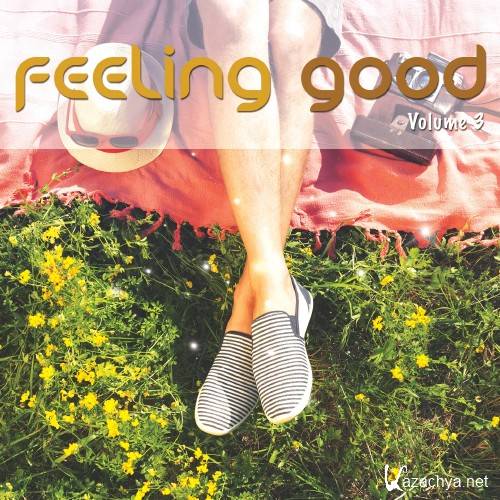 Feeling Good, Vol. 3 (Positive Chill Grooves) (2016)
