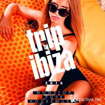 Trip To Ibiza 2016 Nonstop Pure House Music (2016)