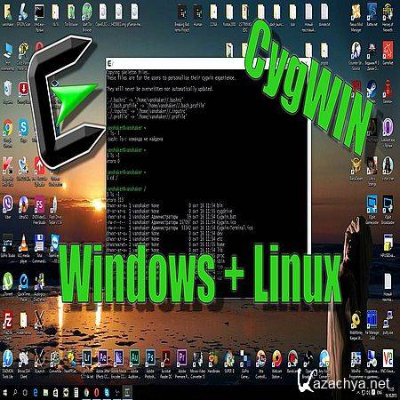 Linux  Windows (2016) WEBRip