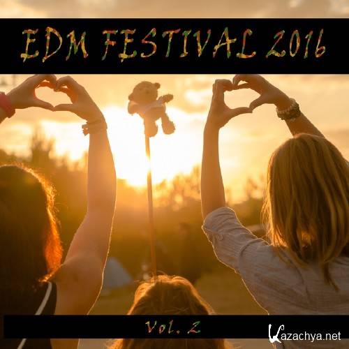 EDM Festival 2016, Vol. 2 (2016)