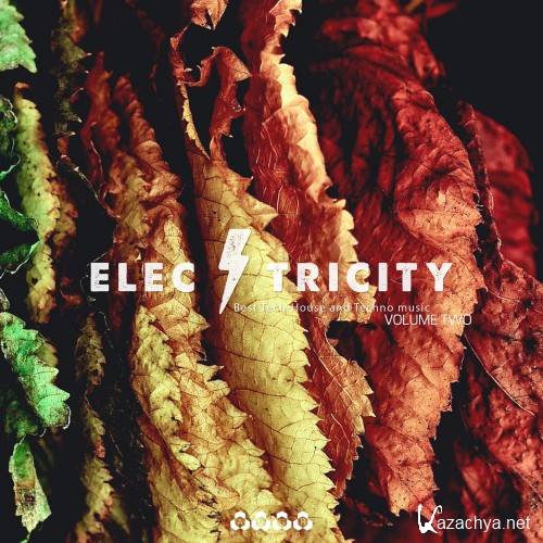 Electricity, Vol. 2 (2016)