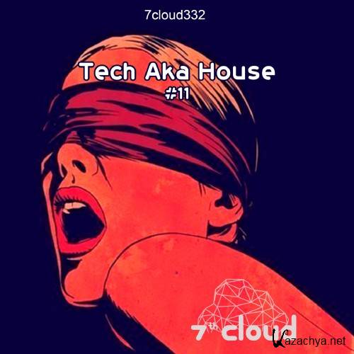 Tech Aka House 11 (2016)