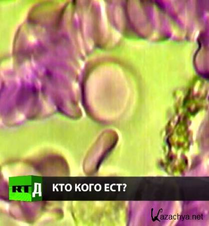   ? (2016) WEB-DLRip 720