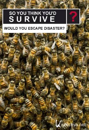 А ты бы выжил? (2 сезон: 1-7 серии) / So You Think You'd Survive? (2015) HDTVRip А ты бы выжил? (2 сезон: 1-7 серии) / So You Think You'd Survive? (2015) HDTVRip