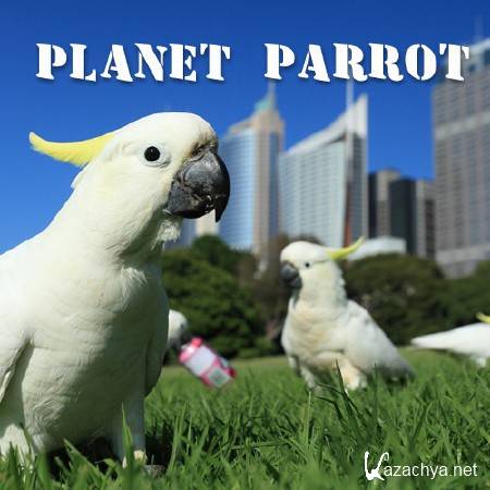  / Planet Parrot (2014) HDTVRip (720p)