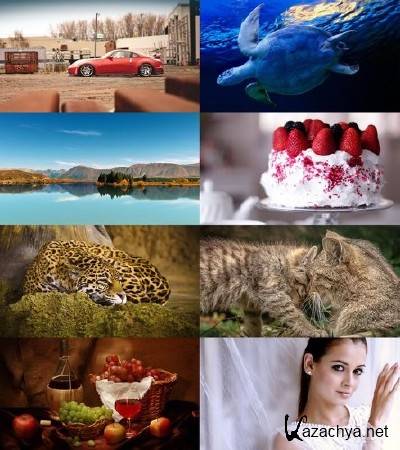 Wallpapers Mix №402