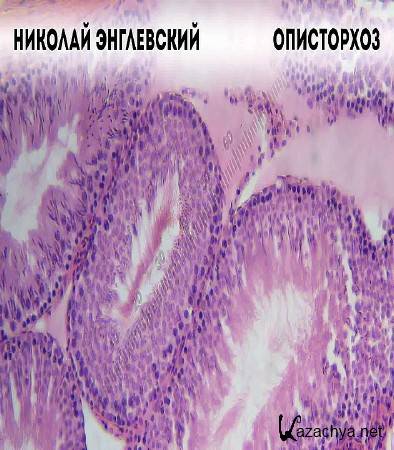  (2016) WEB-DLRip 720