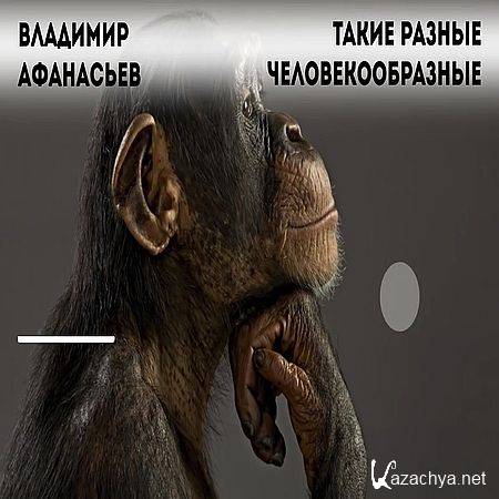 ����� ������ ���������������� (2016) WEB-DLRip 720�