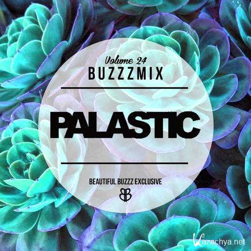 Palastic - Buzzzmix Vol. 24 (2016)
