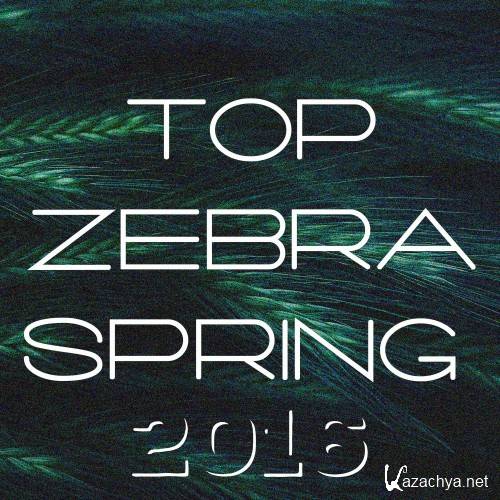 Top Zebra Spring 2016 (2016)