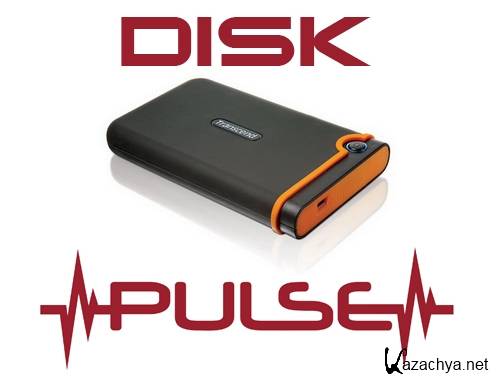 Disk Pulse 8.5.24 (2016/Multi/x86/x64) Portable