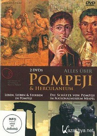        / The Other Pompeii. Life & Death in Herculaneum (2013) BDRip (720p)