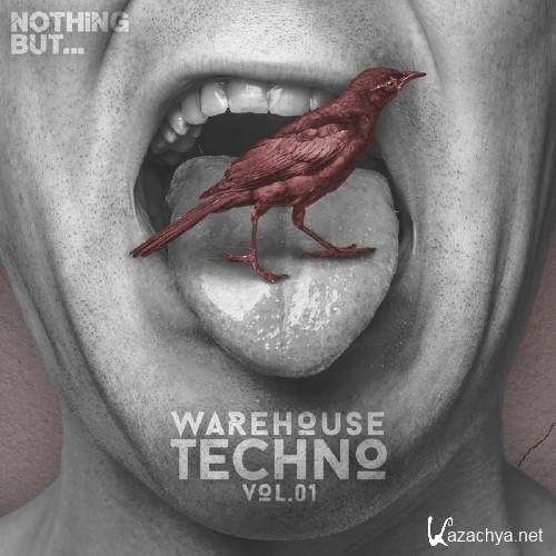 Nothing But... Warehouse Techno Vol 1 (2016)