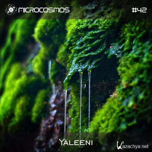 Yaleeni - Microcosmos Chillout & Ambient Podcast 042 (2016)
