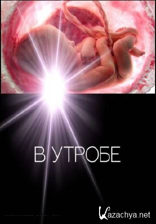 � ������ / In Utero (2015) DVB