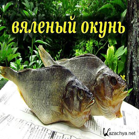 �����. ������� ���� � �������� �������� (2016) WEBRip