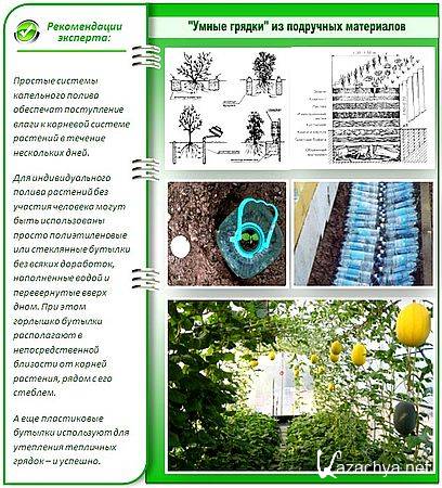 ����� ������ ��� ��� ���������� ������������� �������� (2016) WEBRip