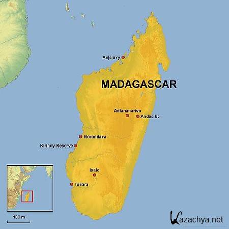 ���������� - ������� ������� ������� / Madagascar (2015) HDTVRip-AVC