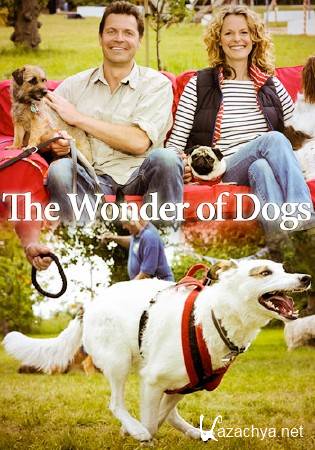    (3   3) / The Wonder of Dogs  (2013) HDTVRip (720p)