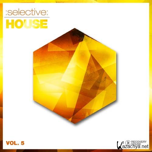 Selective House, Vol. 5 (2016)
