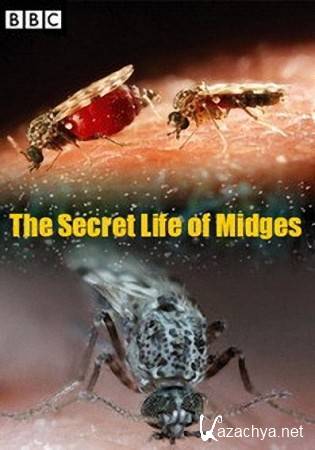    / The Secret Life of Midges (2015) HDTVRip (720p)