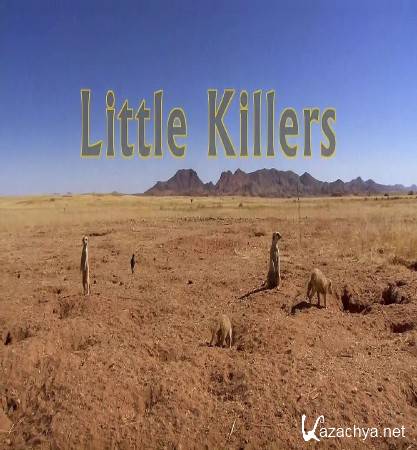   / Little Killers (2015) HDTV 1080i